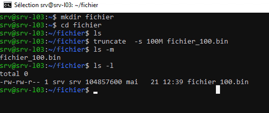 Créer un fichier d'une taille précise dans Linux avec la commande Truncate